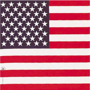 Carolina Creative Products B22AME-050114 Hav-A-Hank USA Flag Bandana, 22"x22"