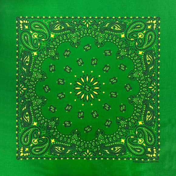 Carolina B22PAI-050004 Hav-A-Hank Paisley Bandana, Green/Yellow, 22 x 22 in.