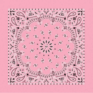 Carolina B22PAI-050004 Hav-A-Hank Paisley Bandana, Light Pink, 22 x 22 in.