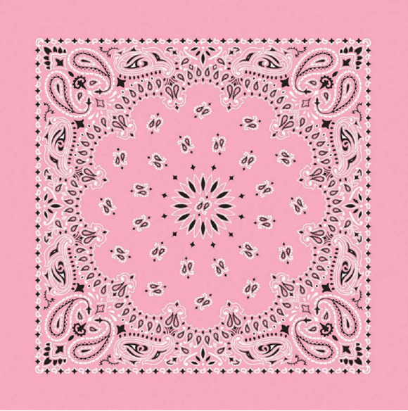 Carolina B22PAI-050004 Hav-A-Hank Paisley Bandana, Light Pink, 22 x 22 in.