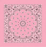 Carolina B22PAI-050004 Hav-A-Hank Paisley Bandana, Light Pink, 22 x 22 in.