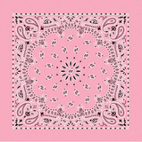 Carolina B22PAI-050004 Hav-A-Hank Paisley Bandana, Light Pink, 22 x 22 in.