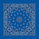Carolina B22PAI-050004 Hav-A-Hank Paisley Bandana, Royal Blue, 22 x 22 in.