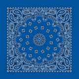 Carolina B22PAI-050004 Hav-A-Hank Paisley Bandana, Royal Blue, 22 x 22 in.