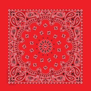 Carolina Creative Products PBATSC-000528 Hav-A-Hank Red Paisley Bandana