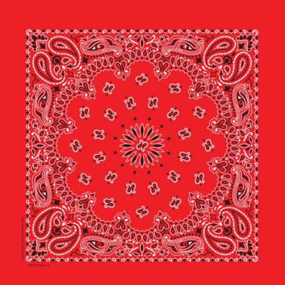 Carolina Creative Products PBATSC-000528 Hav-A-Hank Red Paisley Bandana