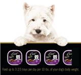 Cesar 10192124 Soft Wet Dog Food Classic Loaf,Filet Mignon Flavor, 24-Pk(3.5 oz)