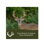 Record Rack 107697181 Golden Deer Nuggets, 40 lb. Bag