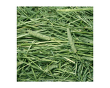 DuMOR 42928 All-Natural Timothy Hay for Adult Small Animal, 96 Ounce