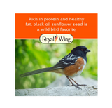 Royal Wing 10623 Black Oil Sunflower Wild Bird Food, 40 lb. Bag
