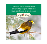 Royal Wing 145 Grey-Striped Sunflower Wild Bird Food, 20 lb. Bag