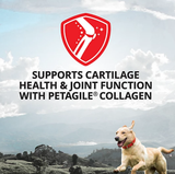 4health 73000001 Hip and Joint Liquid Supplement for Dogs and Cats, 32 oz.