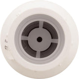 Flo Control 1011-10 1"s 1/2lb Spring Water Check Valve