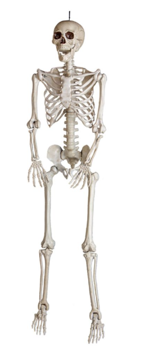 Gemmy 59660 Spooky 5 ft. Bone Skeleton with Open Mouth