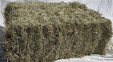 Generic 2-String Coastal Bermuda Hay Horse Feed