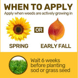 GroundWork 100525068 Southern Weed & Feed Lawn Fertilizer 20-0-5, 32 lb.