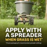 GroundWork 100525068 Southern Weed & Feed Lawn Fertilizer 20-0-5, 32 lb.