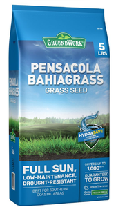 GroundWork 266AX0002UC-5 Pensacola Bahiagrass Grass Seed, 5 lb.