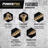 Hillman 116842 Power Pro Exterior Bronze Multi-Material Screws (#10x1-3/4"), 1lb