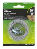 Hillman 121127 Picture and Wall Hanging Kit Zinc, 20 lb. Capacity