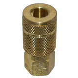 1/4 in. x 1/4 in. NPT Female Automotive Coupler