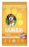 Iams 10171559 Puppy Dry Dog Chicken and Whole Grains Recipe - 15 lbs.