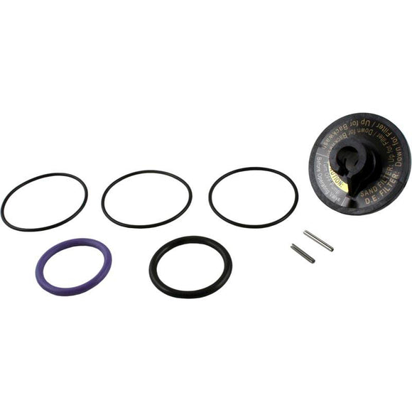 Jandy Zodiac R0442100 Rebuild Kit for Backwash Valve