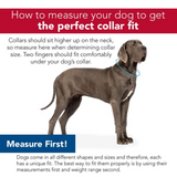 Retriever Adjustable Dog Collar with Plastic Buckle, 1 x 18-26in. Orchid