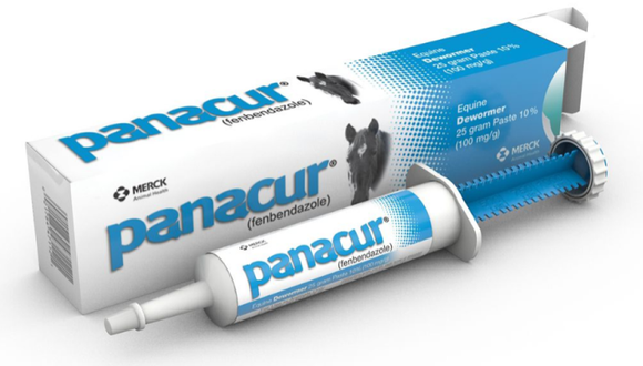 Merck Animal Health 69273 Panacur Equine Dewormer Paste, 25 g