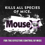 MouseX 620109 4 Pack Ready to Use Bait Trays for Mice and Rats