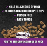 MouseX 620109 4 Pack Ready to Use Bait Trays for Mice and Rats