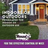 MouseX 620109 4 Pack Ready to Use Bait Trays for Mice and Rats