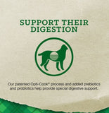 Nutrena Loyall Life Adult Lamb and Brown Rice Recipe Dry Dog Food - 40 lb.