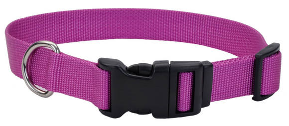 Retriever Adjustable Dog Collar with Plastic Buckle, 1 x 18-26in. Orchid