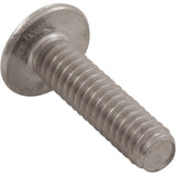 Clayton P-2494 Screw, Skimmer, Faceplate