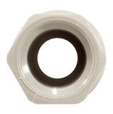 Paragon B4644 1/4"fpt x 3/8"OD Stark Quick Tubing Adapter