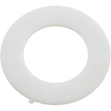 Pentair 14971-SM10E3 Stainless Steel Washer