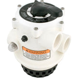 Pentair 261124 1.5" Multiport Valve