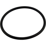 Pentair PacFab 352602 590 Lid O-Ring for Hydro Pump