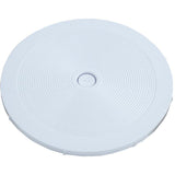 Pentair 85004700 Optional Top Access Lid for Skimmer - White