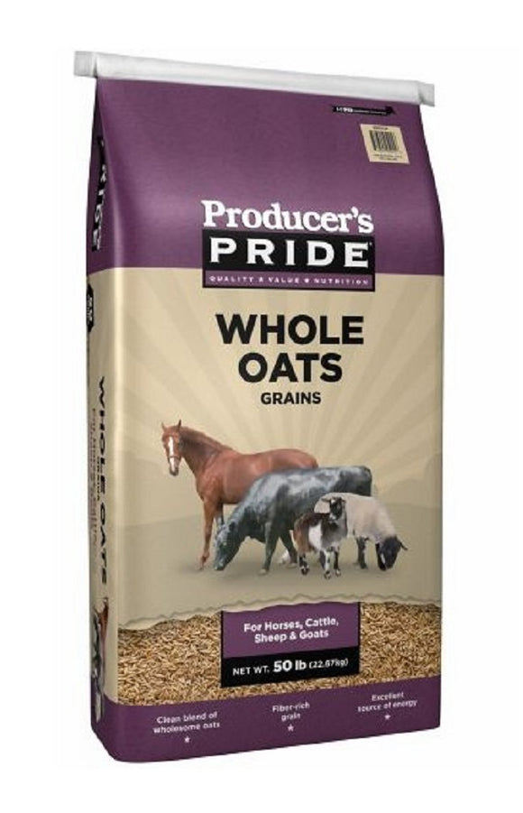 Producer's Pride 9846 Livestock Products 50 Pounds Whole Oats Grains Horse Feed