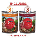 Purina One Adult Beef & Chicken in Gravy Wet Dog Food Variety Pack, Count of 6