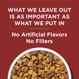 Purina 17800100328 Dog Chow Complete Adult Dry Dog Food Kibble Beef Flavor 44 lb