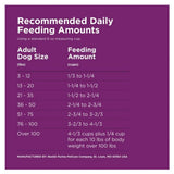 Purina Dog Chow Complete Adult Dry Dog Food Kibble With Lamb Flavor 44 lb. Bag