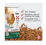 Purina Layena+ 10 lb. Bag High Protein Layer Chicken Pelleted Feed