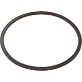 Zodiac R0623300 Leaf Catcher Seal, Cyclonic Leaf Catcher