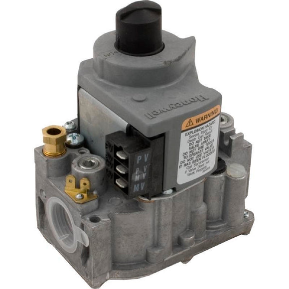 Raypak 004306F Gas Valve