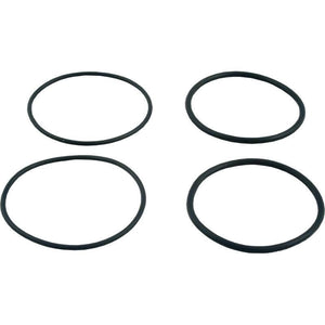 Raypak 006724F O-Ring Kit for 2" PVC Connector