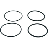 Raypak 006724F O-Ring Kit for 2" PVC Connector