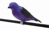 Royal Wing PMD Pet Supplies Purple-Colored Easily Mounted Martin Bird Decoy